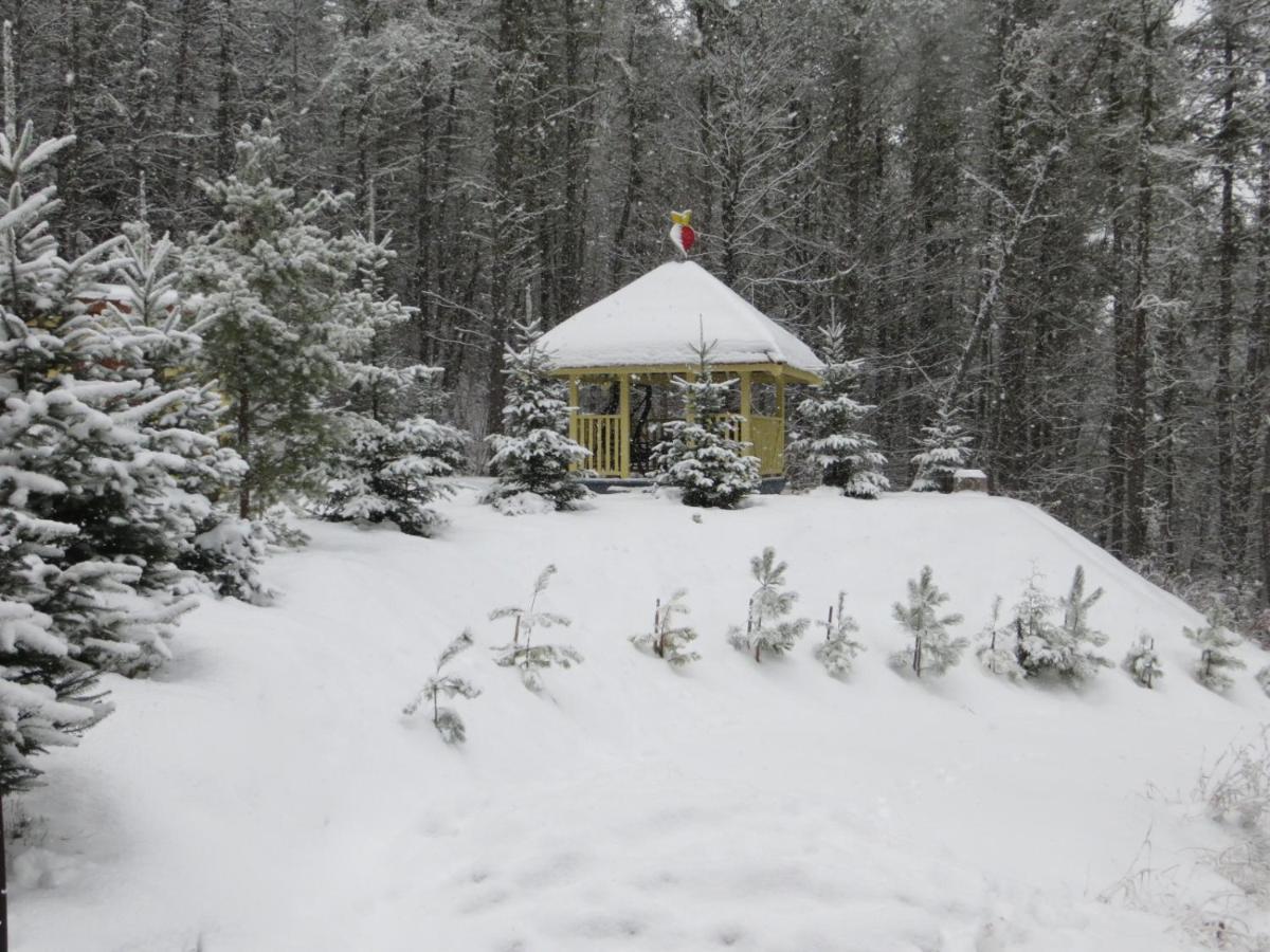 La Maison Sous Les Arbres Saint Roch de Mekinac Dış mekan fotoğraf