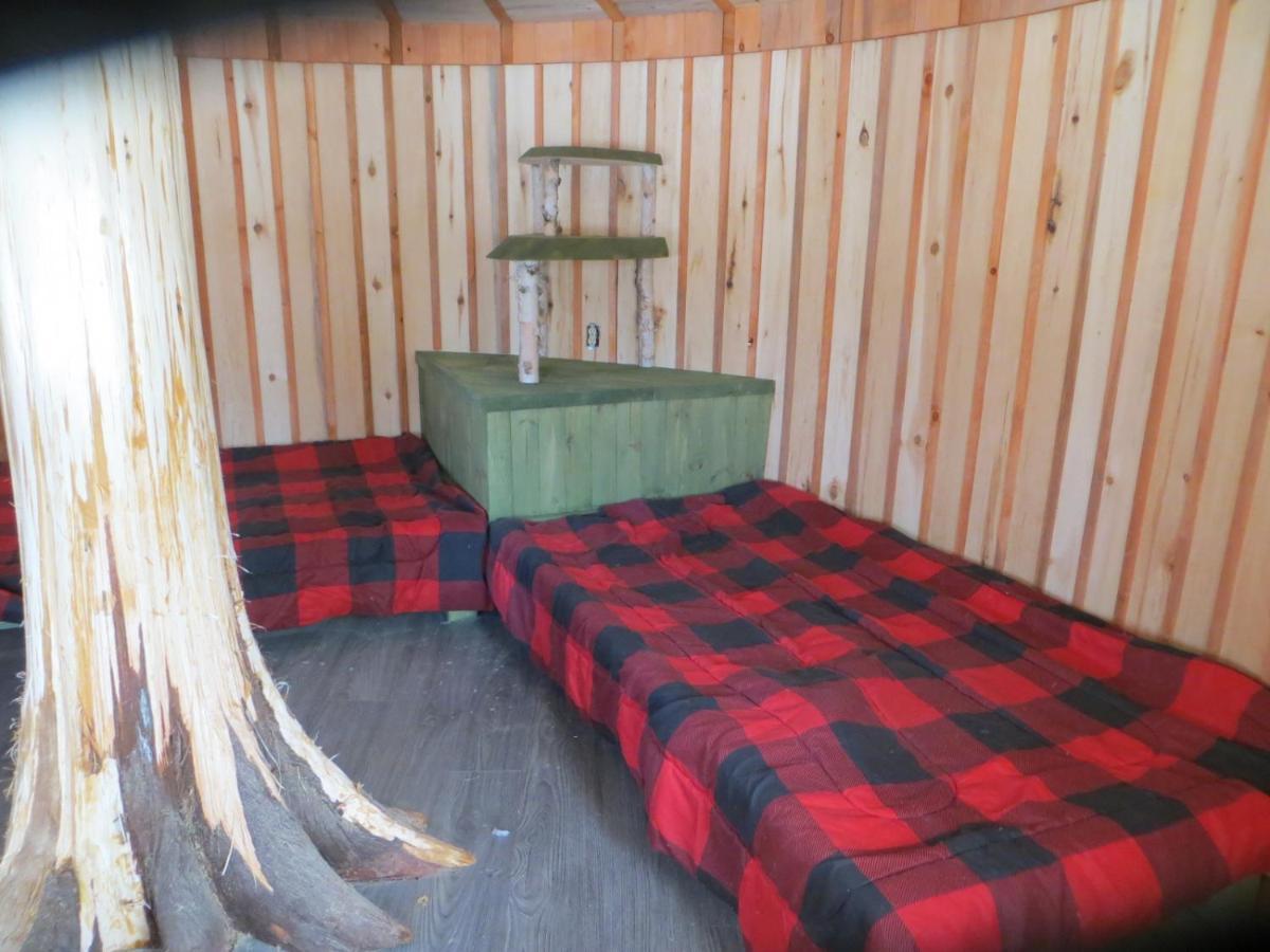 La Maison Sous Les Arbres Saint Roch de Mekinac Dış mekan fotoğraf