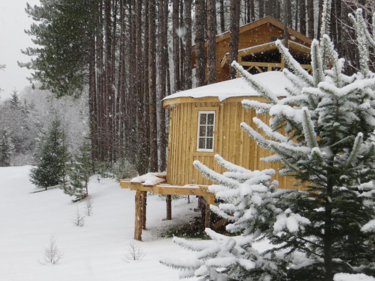 La Maison Sous Les Arbres Saint Roch de Mekinac Dış mekan fotoğraf